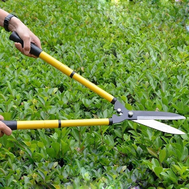 Επεκτεινόμενο Ψαλίδι Κήπου - Extendable Garden Shears