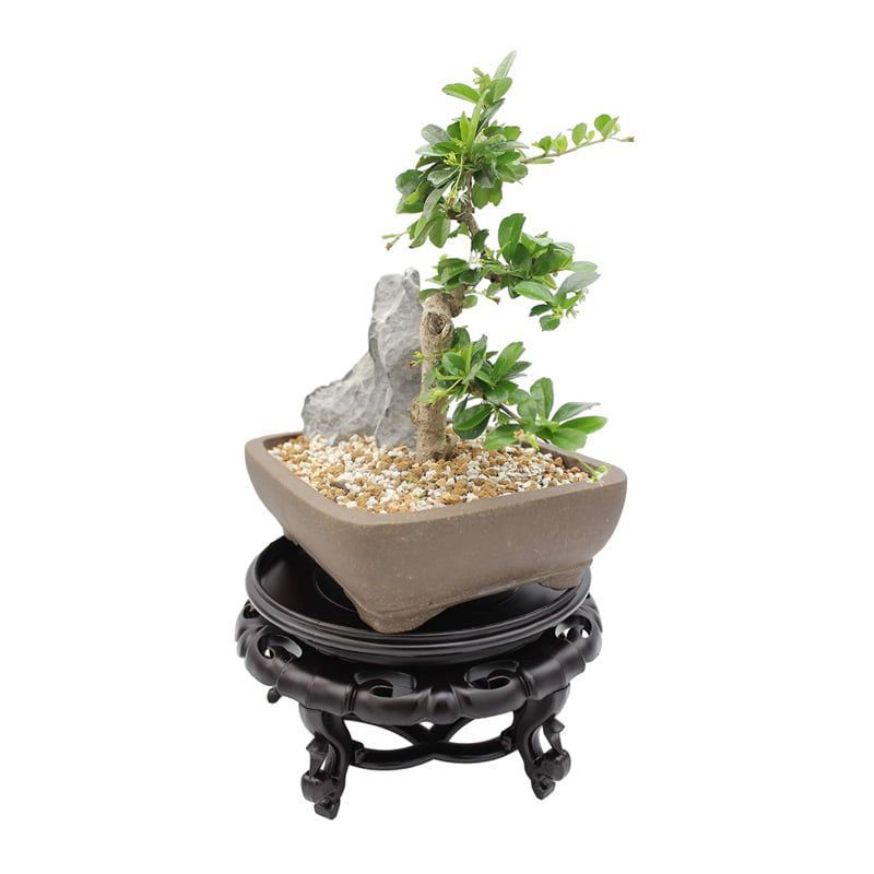 Βάση Γλάστρας Καφέ - Pot Base Vase Stand