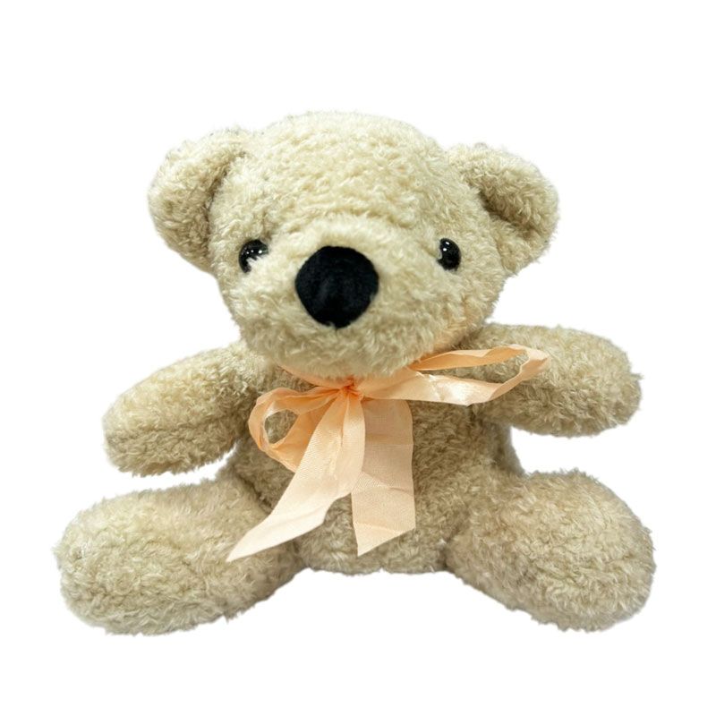 Λούτρινο Αρκουδάκι- Teddy Bear