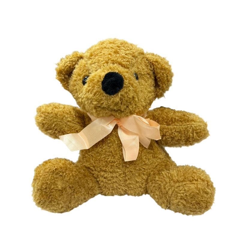 Λούτρινο Αρκουδάκι- Teddy Bear