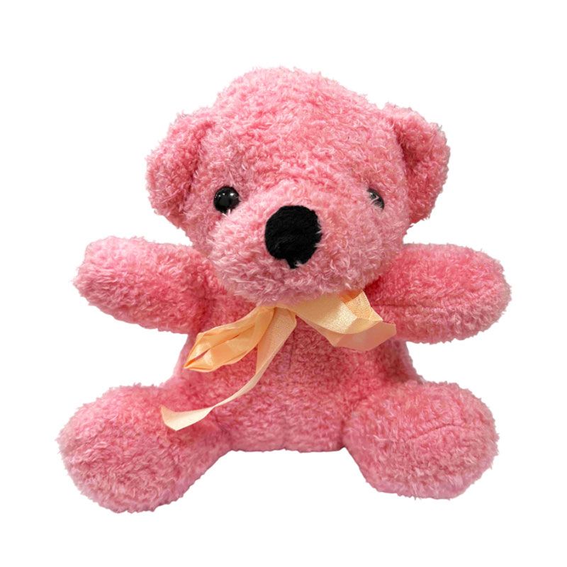 Λούτρινο Αρκουδάκι- Teddy Bear