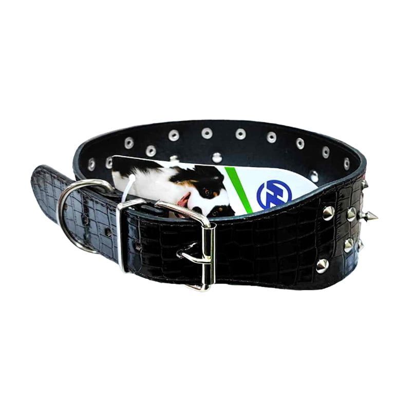 Κολάρο Σκύλου Με Τρουκς Μαύρο - Dog Collar