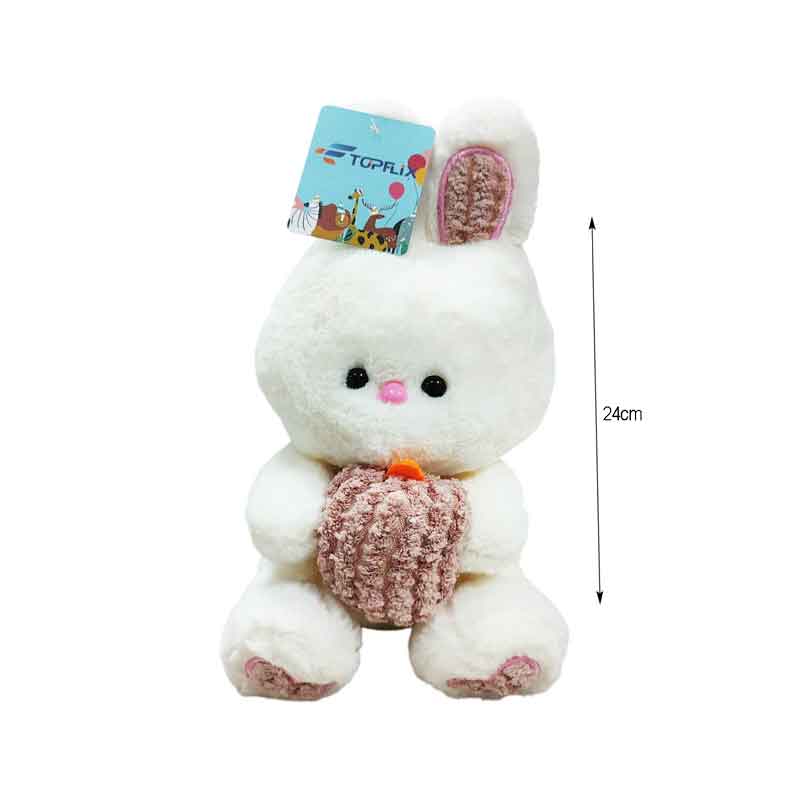 Λούτρινο Λαγουδάκι - Plush Bunny