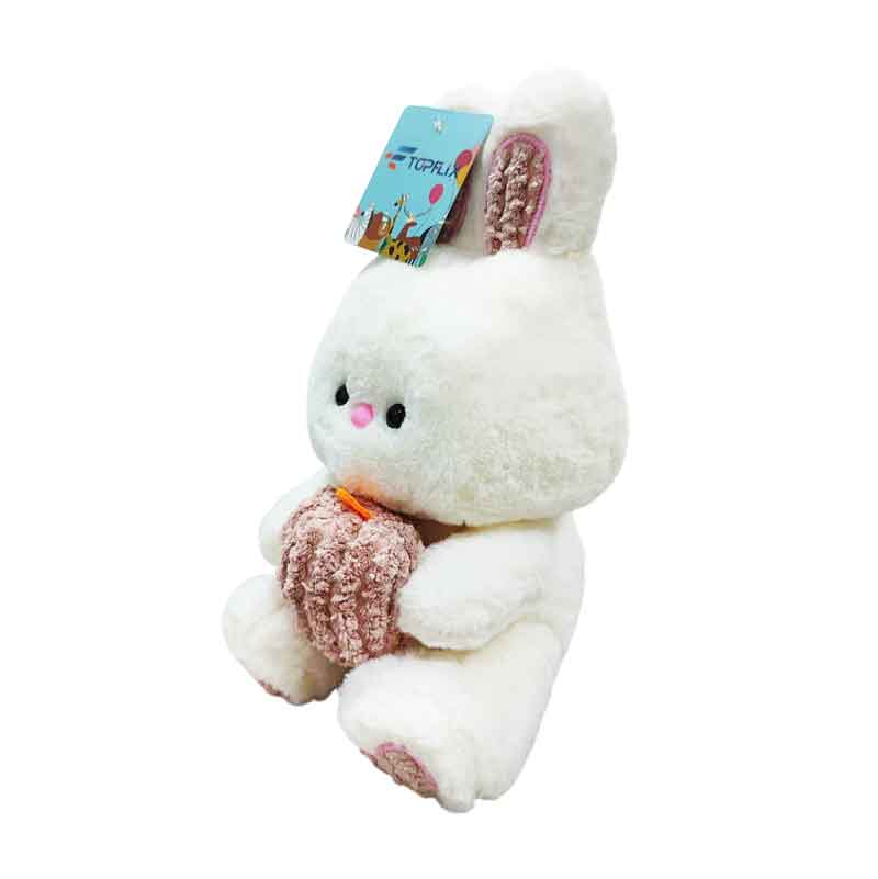 Λούτρινο Λαγουδάκι - Plush Bunny