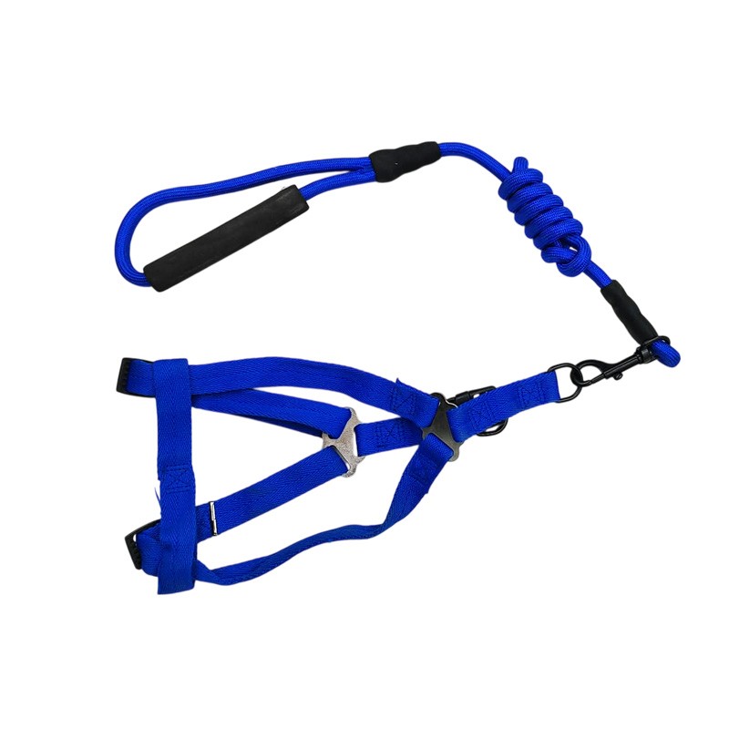 ΣΤΗΘΟΛΟΥΡΟ ΜΕ ΛΟΥΡΙ ΣΚΥΛΟΥ 14269-11 HOBBY > PETSHOP > ΛΟΥΡΙΑ/ΚΟΛΑΡΑ/ΟΔΗΓΟΙ