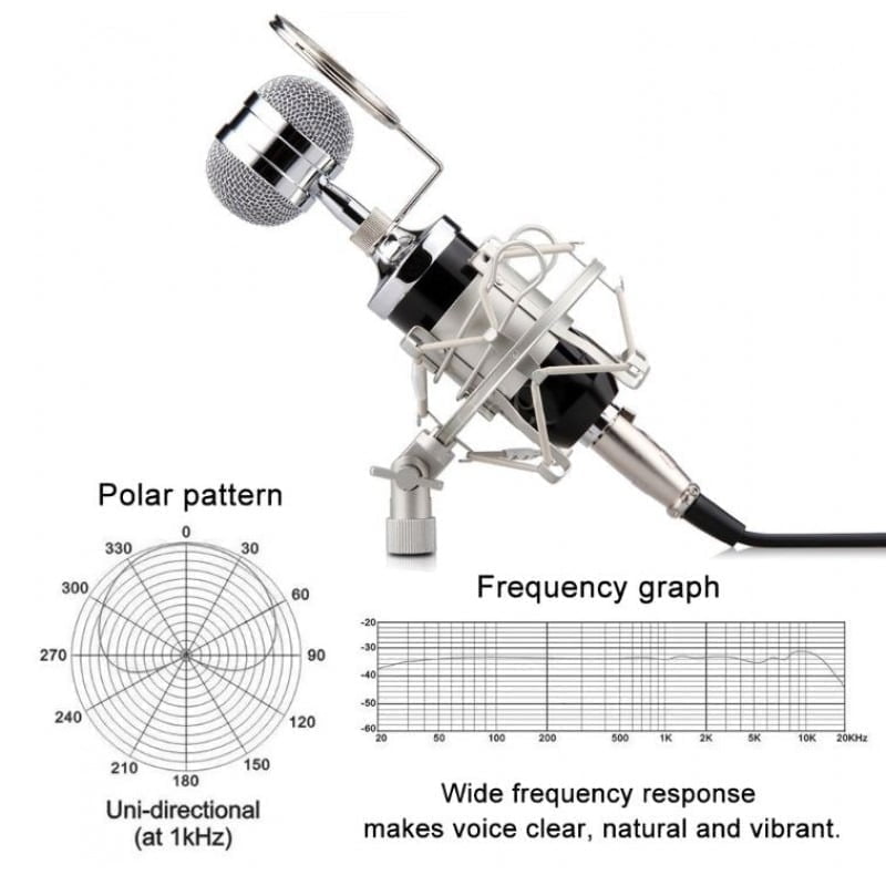 Επαγγελματικό Πυκνωτικό μικρόφωνο Huichang - Studio Microphone