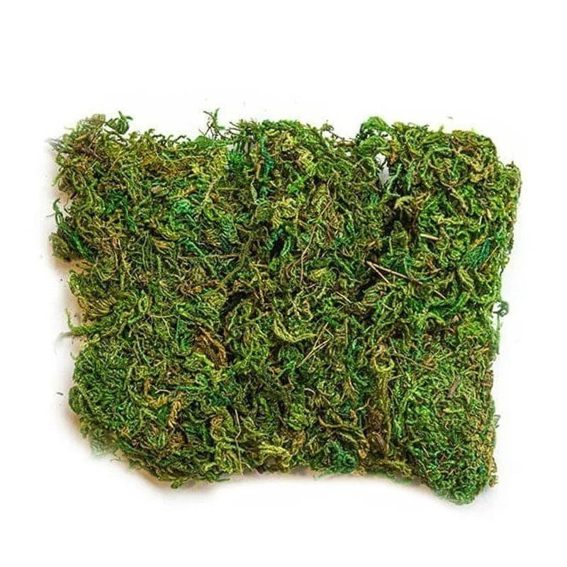 Διακοσμητικό Γρασίδι Για Συνθέσεις - Grass deco