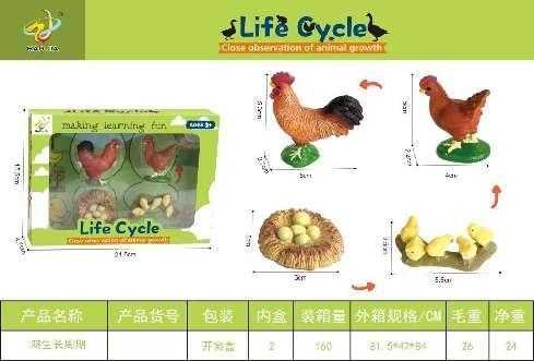 Εκπαιδευτικό σετ Κοτοπουλάκια - Life Cycle - 161113