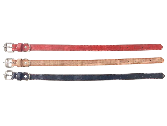 Περιλαίμιο - Κολάρο σκύλου - 3x56cm - 12pcs - 550196 ΣΠΙΤΙ & ΚΑΤΟΙΚΙΔΙΟ>Είδη κατοικιδίων>Λουράκια