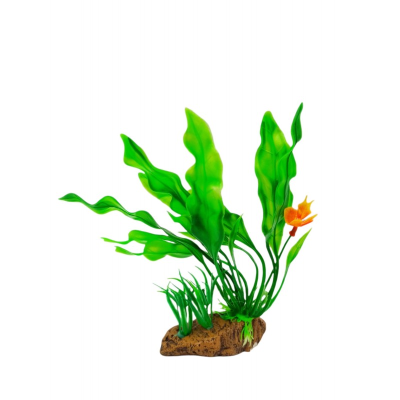ΔΙΑΚΟΣΜΗΤΙΚΟ ΦΥΤΟ ΓΙΑ ΕΝΥΔΡΕΙΟ 6209 HOBBY > PETSHOP > ΕΝΥΔΡΕΙΑ