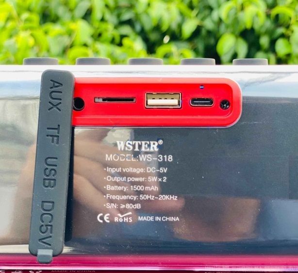 Ασύρματο ηχείο Bluetooth - WS-318 - 810675 ΕΙΔΗ ΤΕΧΝΟΛΟΓΙΑΣ>Ραδιόφωνα & Ηχεία>Ηχεία Bluetooth