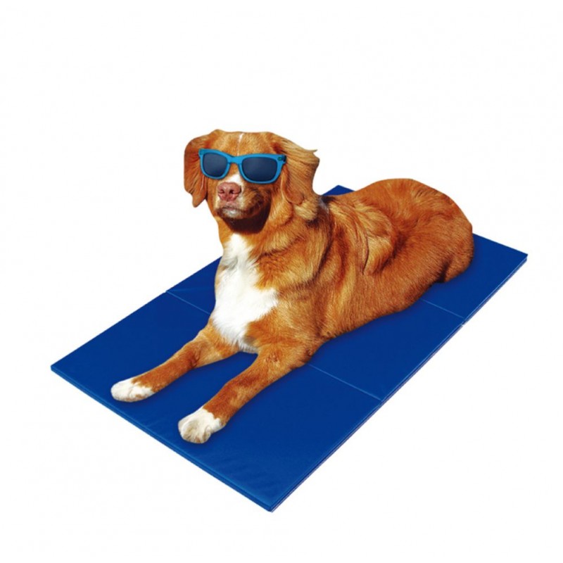 ΔΡΟΣΙΣΤΙΚΟ ΣΤΡΩΜΑ ΓΙΑ ΣΚΥΛΟΥΣ 90x50cm SD-2621 HOBBY > PETSHOP > ΜΑΞΙΛΑΡΕΣ/ΚΡΕΒΑΤΙΑ/BOX ΜΕΤΑΦΟΡΑΣ
