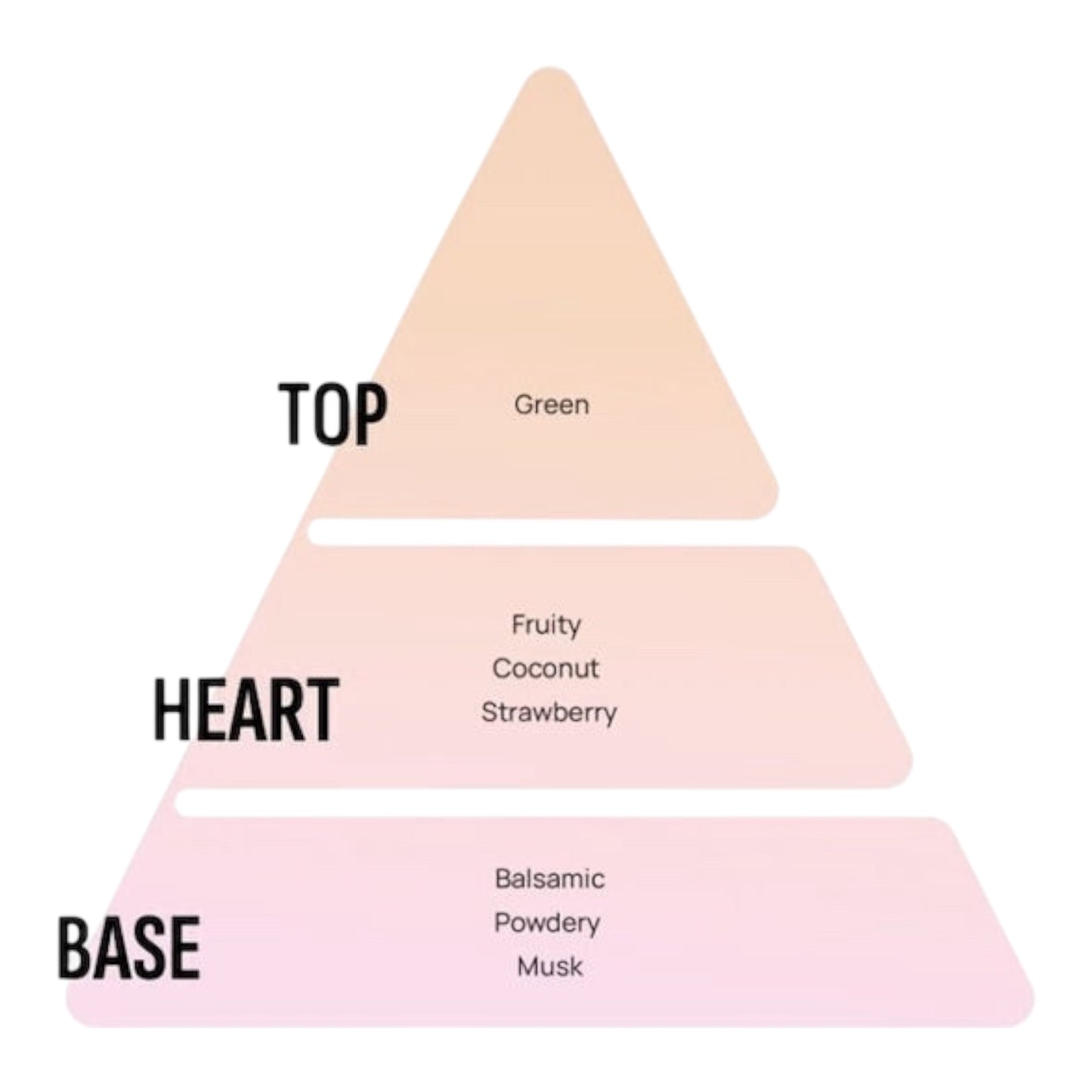 Areon Αρωματική Καρτέλα Κρεμαστή Αυτοκινήτου Mon Καρύδα MA11