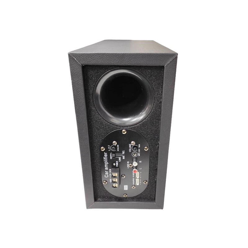 Pervoi Subwoofer Αυτοκινήτου 12V CTC-8031 - Active subwoofer