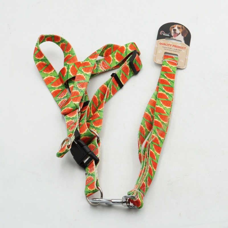 ΣΤΗΘΟΛΟΥΡΟ ΚΑΙ ΛΟΥΡΑΚΙ ΣΚΥΛΟΥ BM109 HOBBY > PETSHOP > ΛΟΥΡΙΑ/ΚΟΛΑΡΑ/ΟΔΗΓΟΙ