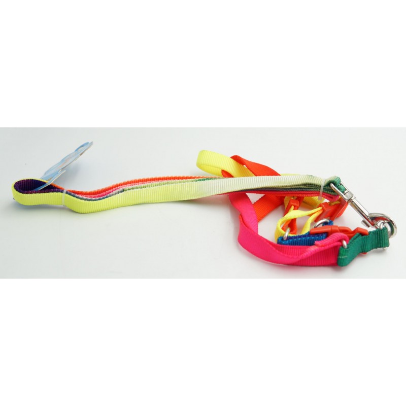 ΣΤΗΘΟΛΟΥΡΟ ΚΑΙ ΛΟΥΡΑΚΙ ΣΚΥΛΟΥ HO-PE-6924 HOBBY > PETSHOP > ΛΟΥΡΙΑ/ΚΟΛΑΡΑ/ΟΔΗΓΟΙ