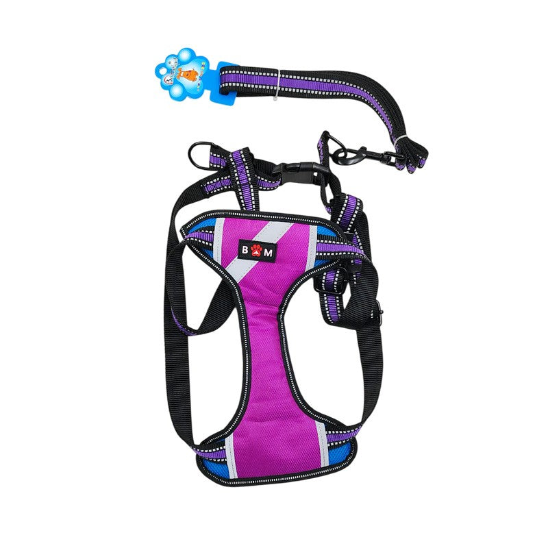 ΣΑΜΑΡΑΚΙ ΣΚΥΛΟΥ ΚΑΙ ΛΟΥΡΙ LARGE BM061 HOBBY > PETSHOP > ΛΟΥΡΙΑ/ΚΟΛΑΡΑ/ΟΔΗΓΟΙ