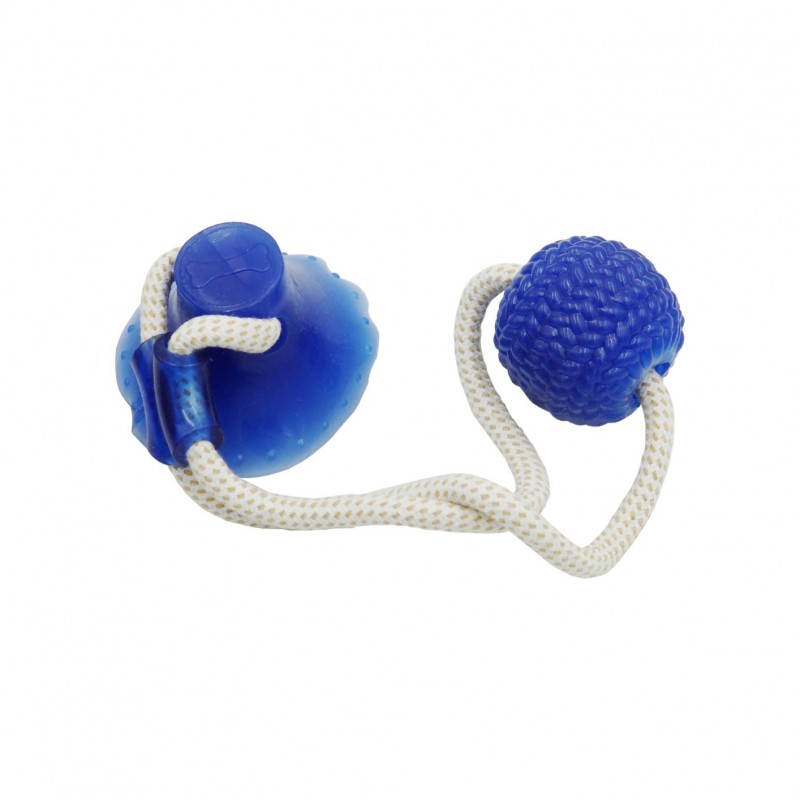 ΠΑΙΧΝΙΔΙ ΣΚΥΛΟΥ ΜΕ ΒΕΝΤΟΥΖΑ RY-058 HOBBY > PETSHOP > ΠΑΙΧΝΙΔΙΑ ΚΑΤΟΙΚΙΔΙΩΝ