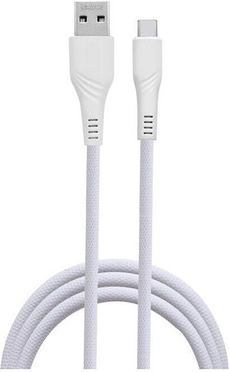 Fast Data USB 2.0 Cable USB-C male - USB-A Λευκό 1m