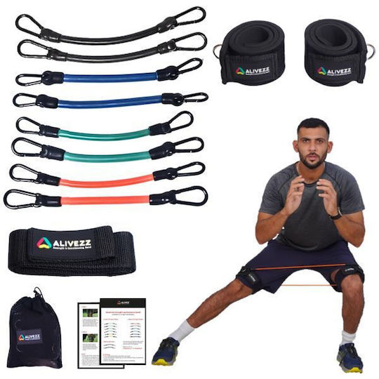 Resistance Bands LT-669 Σωληνωτά Λάστιχα Γυμναστικής με Λαβές Σετ 4τμχ Πολύχρωμα 0.24m