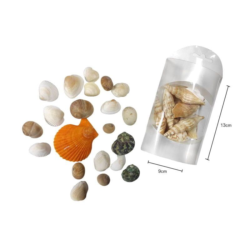Διακοσμητικά κοχύλια σε κουτί 1τμχ - Shell decoration