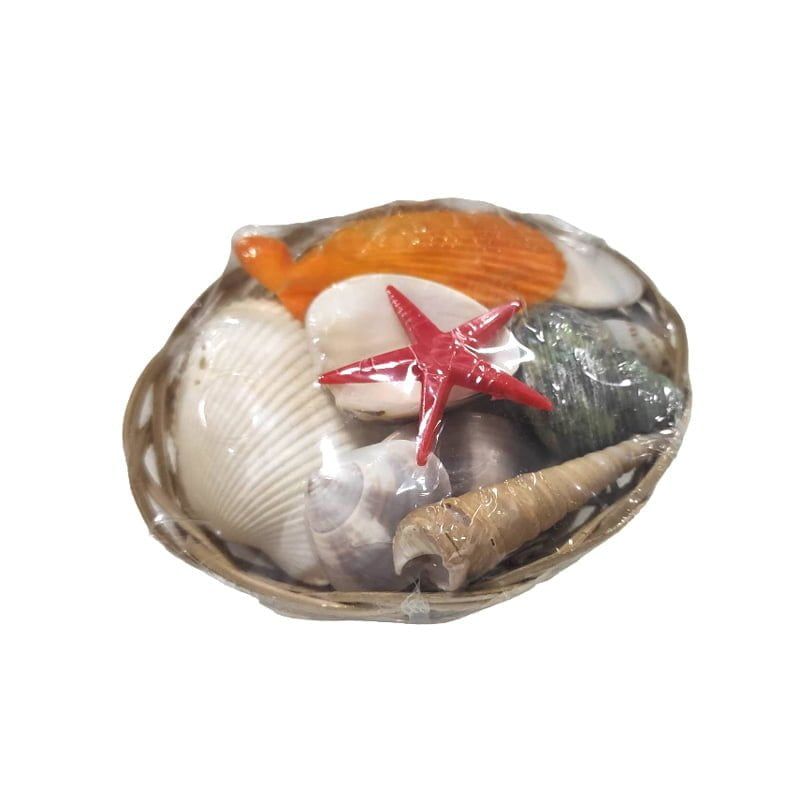 Διακοσμητικά κοχύλια σε καλαθάκι - Shell decoration